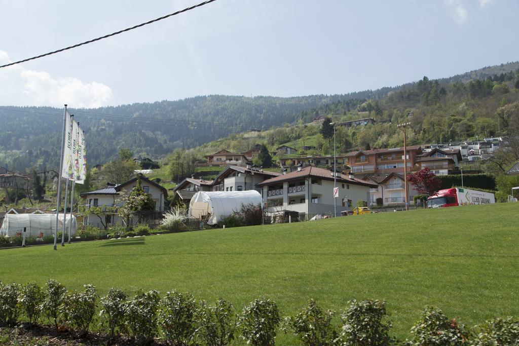 La Terrazza Sul Lago * Pergine Valsugana
